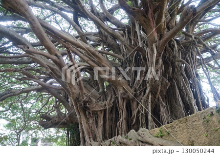 那覇　崇元寺 130050244