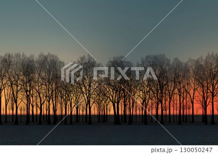 秋の木立の夕焼けの風景（背景画像） 130050247