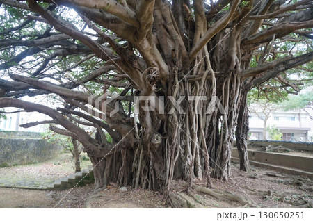 那覇　崇元寺 130050251