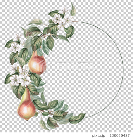 Round frame with branches, flowers and pear fruits. Isolated watercolor illustration of fruits for product line design, kitchenware design, seasonal menu, postcards, textiles, clothing printing. Round frame with branches, flowers and pear fruits. Isolated watercolor illustration of fruits for product line design, kitchenware design, seasonal menu, postcards, textiles, clothing printing. 130050487