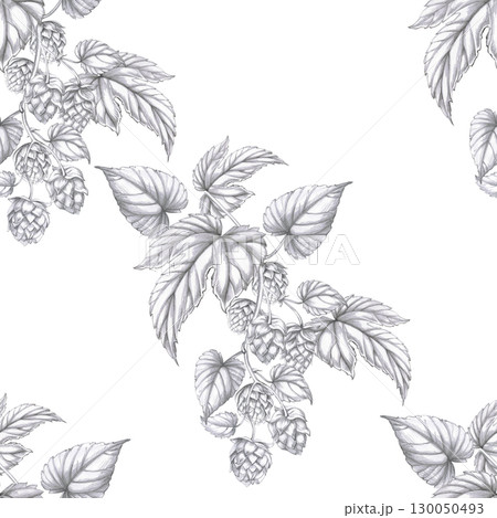 Seamless pattern with hop cones. Pencil illustration with branches and fruits of hops for interior design of bars, menus, packaging, beer festivals and parties. Seamless pattern with hop cones. Pencil illustration with branches and fruits of hops for interior design of bars, menus, packaging, beer festivals and parties. 130050493