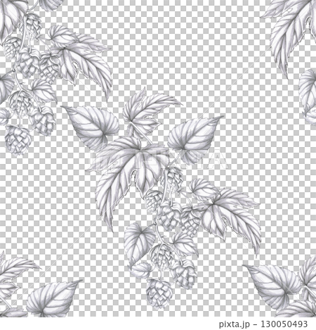 Seamless pattern with hop cones. Pencil illustration with branches and fruits of hops for interior design of bars, menus, packaging, beer festivals and parties. Seamless pattern with hop cones. Pencil illustration with branches and fruits of hops for interior design of bars, menus, packaging, beer festivals and parties. 130050493
