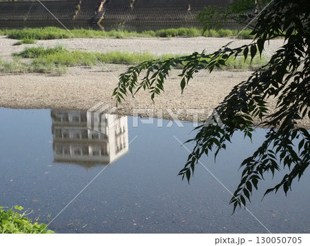 風に吹かれた鏡川の水面とセンダンの葉っぱのシルエット(夏の鏡川) 風に吹かれた鏡川の水面とセンダンの葉っぱのシルエット(夏の鏡川) 130050705