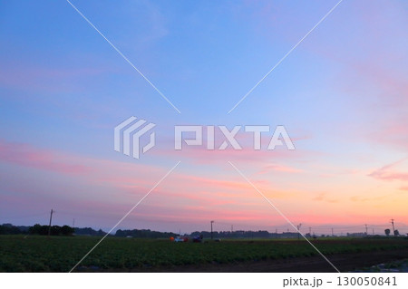 夕焼け空 耕作地 夕焼け空 耕作地 130050841