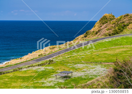 《長崎県》生月サンセットウェイ・ワインディングロード 《長崎県》生月サンセットウェイ・ワインディングロード 130050855