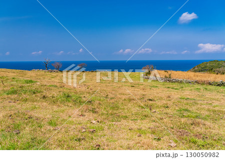 《長崎県》生月島の眺望・丘の上から眺める海岸線 《長崎県》生月島の眺望・丘の上から眺める海岸線 130050982