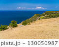 《長崎県》生月島の眺望・丘の上から眺める海岸線 130050987