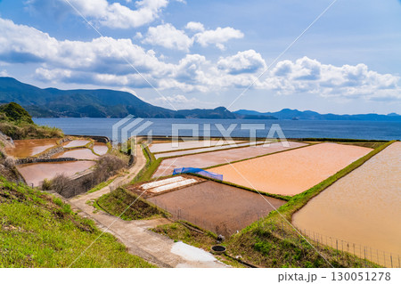 《長崎県》生月島・水田と海岸線の風景 130051278