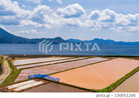 《長崎県》生月島・水田と海岸線の風景 130051280