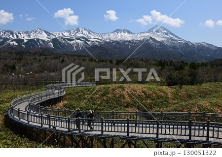 知床五胡から見た知床連山 知床五胡から見た知床連山 130051322