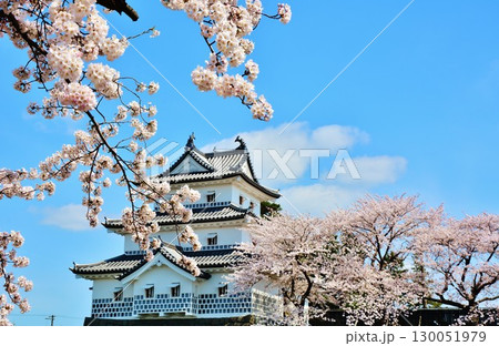 新発田城・新発田城址公園の桜 130051979