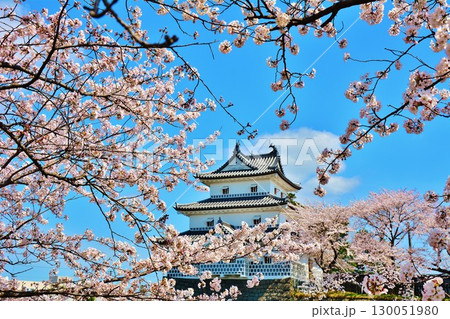 新発田城・新発田城址公園の桜 130051980