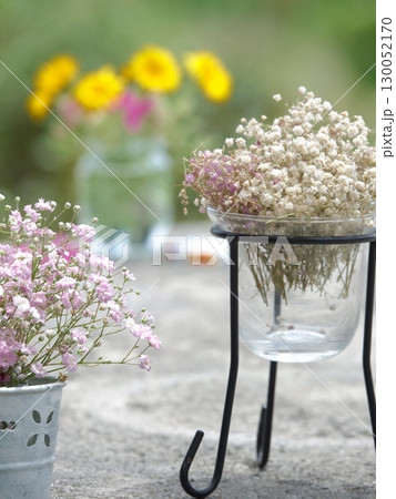 かすみときんせんか かすみときんせんか 130052170