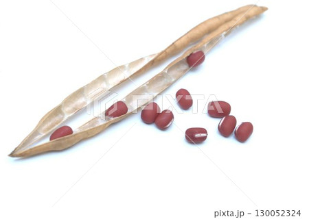 収穫した赤い小豆 130052324