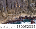三重県熊野市　楯ヶ崎の柱状節理 130052335