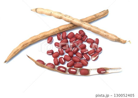 収穫した赤い小豆 130052405