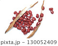 収穫した赤い小豆 130052409