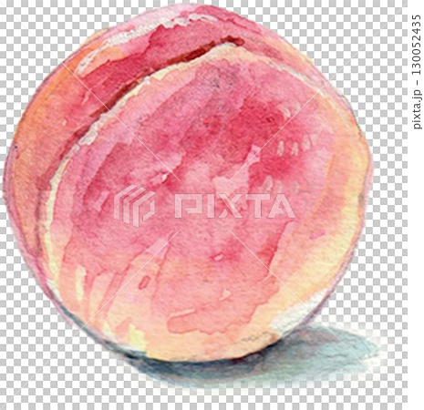 水彩畫的桃子 130052435