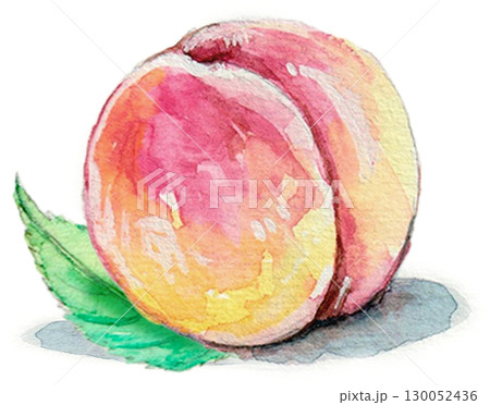 水彩で描いた桃 130052436