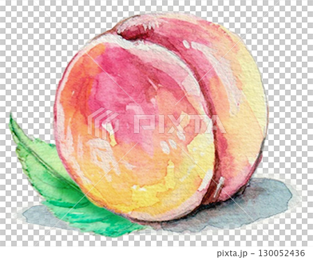 水彩で描いた桃 130052436