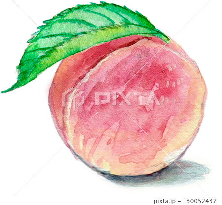 水彩で描いた桃 130052437
