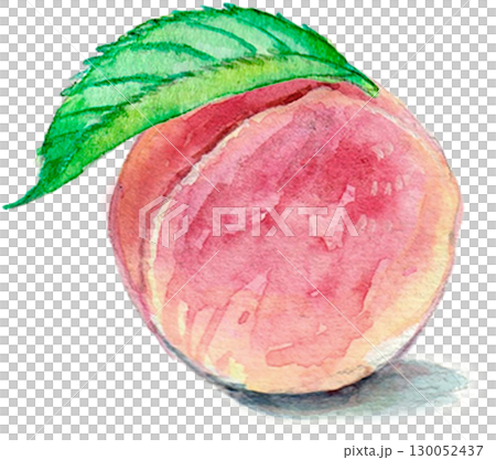 水彩畫的桃子 130052437
