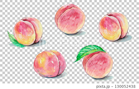 用水彩畫的桃子的插圖 130052438
