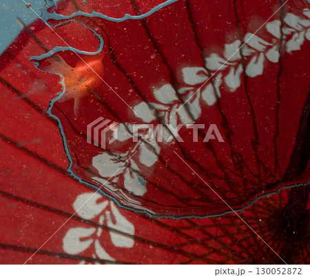 赤い和傘に映る金魚と水紋の風景 130052872