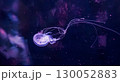 夜の海に漂うクラゲのシルエット 130052883