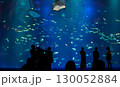 水族館の大水槽と見学する人々 130052884