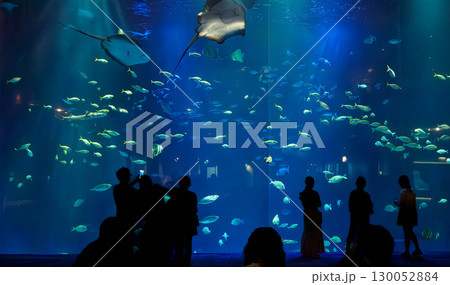 水族館の大水槽と見学する人々 130052884
