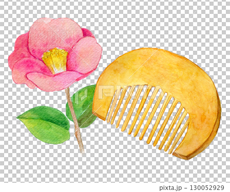 水彩イラスト 椿油が浸透した柘植の櫛 水彩イラスト 椿油が浸透した柘植の櫛 130052929