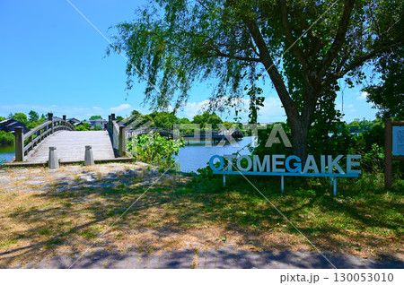 大溝城跡・乙女ケ池　太鼓橋　水辺景観　高島市 130053010