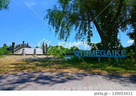 大溝城跡・乙女ケ池　太鼓橋　水辺景観　高島市 130053011