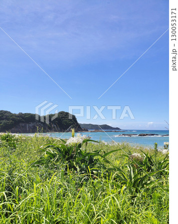 高知県の夏の海と空(足摺岬近辺) 高知県の夏の海と空(足摺岬近辺) 130053171