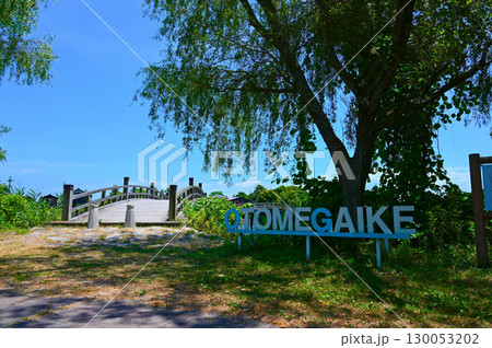 大溝城跡・乙女ケ池 太鼓橋 高島市 大溝城跡・乙女ケ池 太鼓橋 高島市 130053202