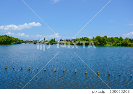 乙女ケ池　太鼓橋　水辺景観　高島市 130053208