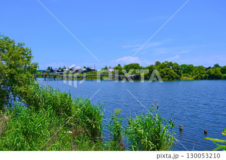乙女ケ池　太鼓橋　水辺景観　高島市 130053210