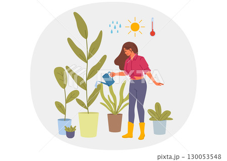Woman florist grows home plants in greenhouse, watering flowers with water and fertilizer Woman florist grows home plants in greenhouse, watering flowers with water and fertilizer 130053548