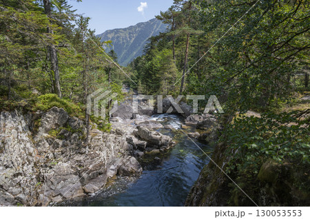 Cascading water flows through a forested valley near Pont d'Espagne in the Pyrenees during a sunny 130053553