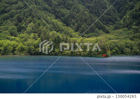 青い湖面が美しい志賀高原　大沼池 130054265