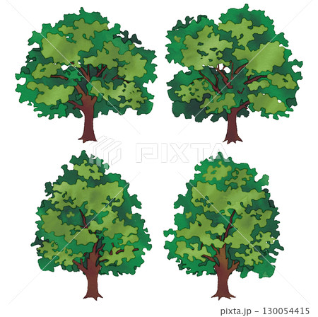 水彩風　木 130054415