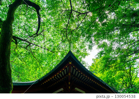 【東京都】豊かな自然に恵まれた高尾山薬王院 【東京都】豊かな自然に恵まれた高尾山薬王院 130054538