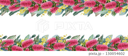 Australia wildflowers seamless border decor. Hand drawn watercolor vintage style illustration. Bottlebrush, golden acacia flowers with eucalyptus leaves seamless border element on white background 130054602