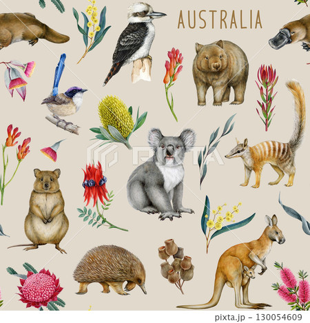 Australian native flora and fauna elements seamless pattern decor. Hand drawn watercolor illustration of koala, kangaroo, platypus, kookaburra with waratah, golden wattle Australian native flowers 130054609
