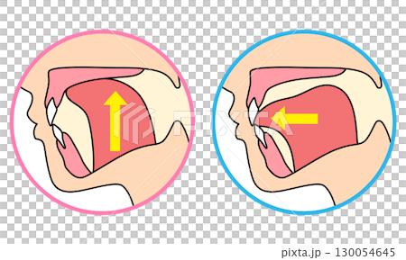 正しいミューイングの方法 適正な舌の位置と誤った舌の位置 正しいミューイングの方法 適正な舌の位置と誤った舌の位置 130054645