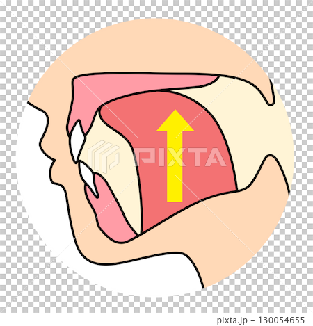 How to mew properly: correct and incorrect tongue position 130054655