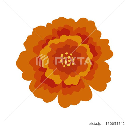 One orange marigold. Floral decoration for Indian floral festive garland toran. Zendu flower isolated on background. Diwali, Halloween Dia de los Muertos holiday celebration. Vector illustration One orange marigold. Floral decoration for Indian floral festive garland toran. Zendu flower isolated on background. Diwali, Halloween Dia de los Muertos holiday celebration. Vector illustration 130055342
