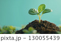 Green sprout growing in soil with blurred background in close up view 130055439