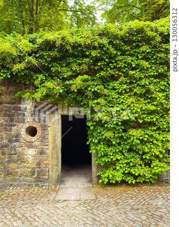 A Mysterious Entrance Surrounded by Lush Greenery It is Truly a Hidden Doorway Leading into Natures Warm Embrace, Inviting All Who Seek Exploration and Serenity Among the Vibrant Vegetation 130056312